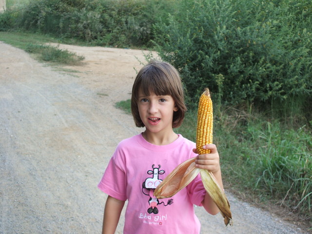 I used to go to excursions