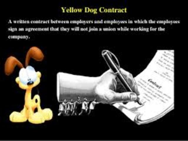 Yellow Dog Contract