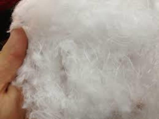 Butadienoestireno y  fibras de poliéster