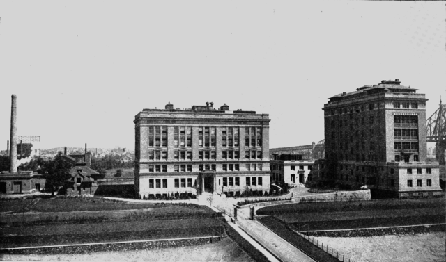 Rockefeller Institute for Medical Research (Rockefeller University)