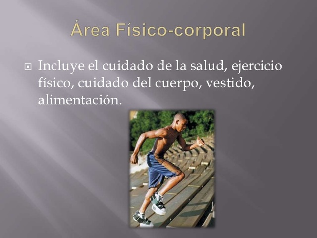 Area Fisico- Corporal