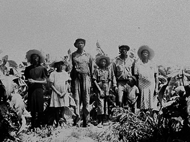 Sharecropping