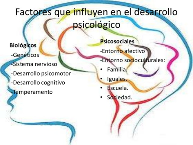 Desarrollo Psicologico
