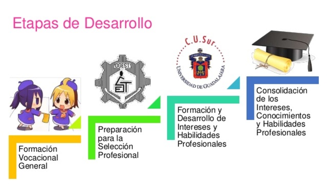 Desarrollo Profesional y Vocacional