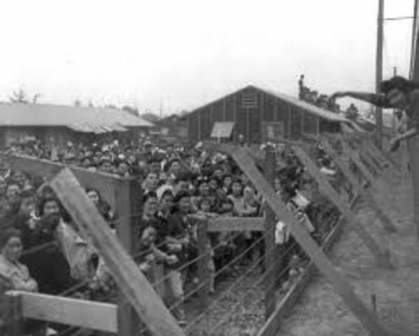 Japanese internment camps