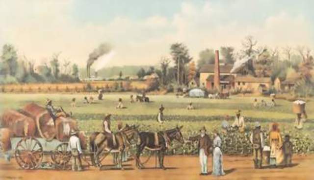 Plantations in the south