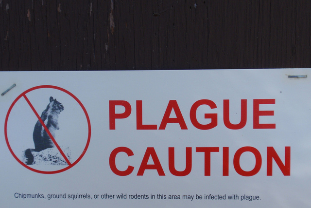 unknown event destroys the civilization of Teotihuacan.