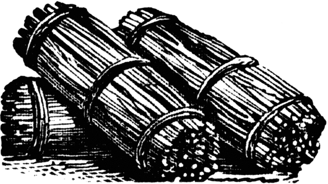 Sojourner Truth's Haunting Experience