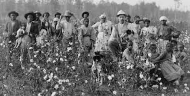 Sharecropping