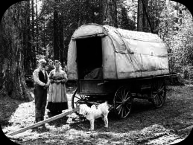 California gold rush