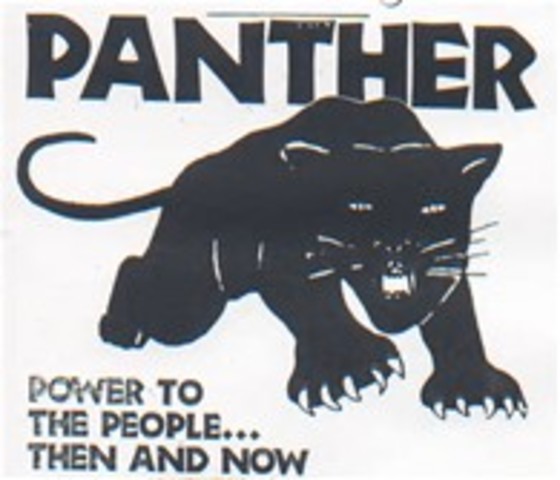 black panthers
