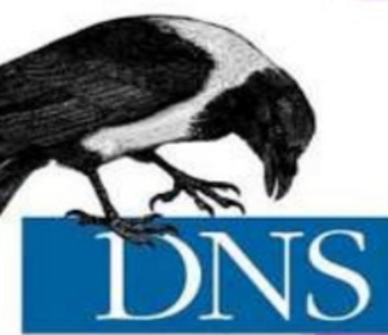 DNS