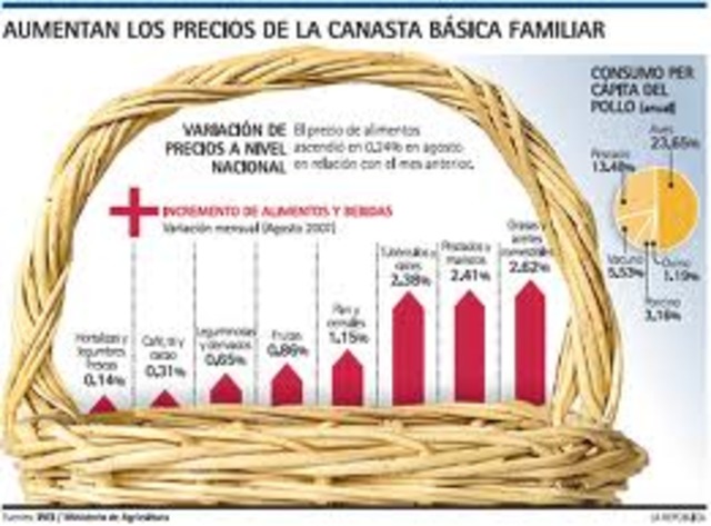 canasta basica