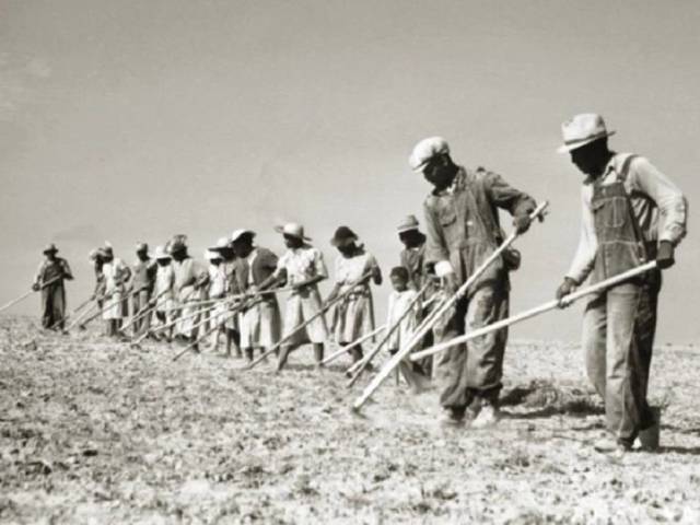 Sharecropping