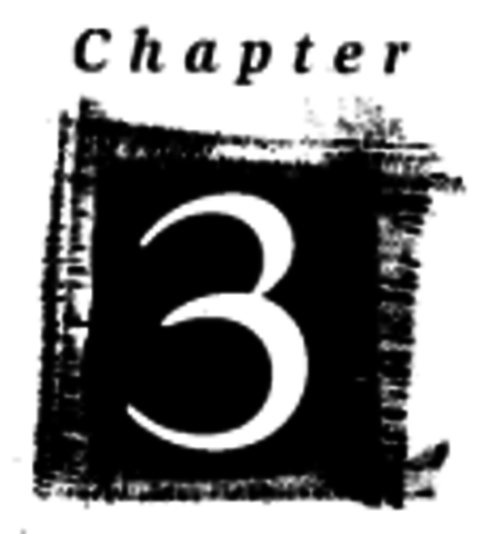 chapter 3