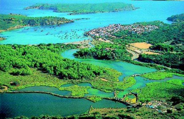 Publicación de las primeras Ecologías Generales