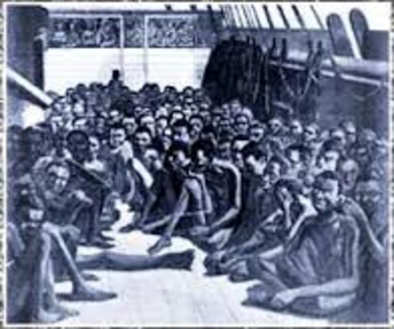 First Slaves Brought to America
