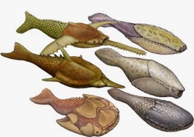 ORDOVÍCICO (desde hace 585 m.a. hasta hace 444 m.a.)