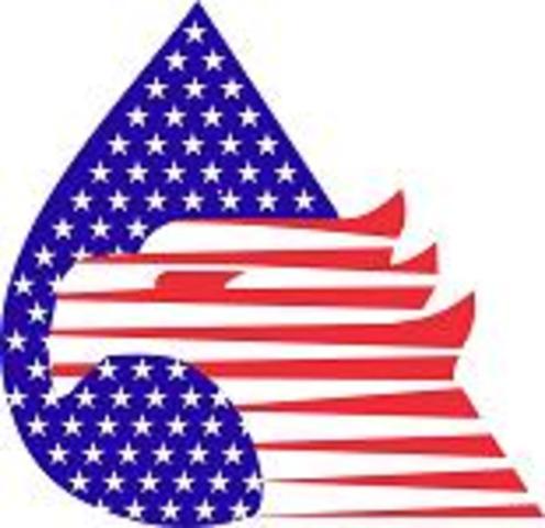 Privatization of Oil