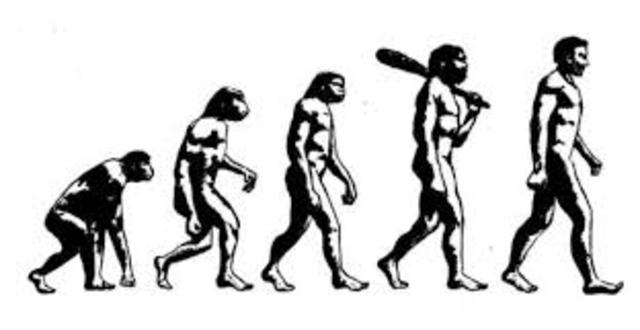 Evolucion