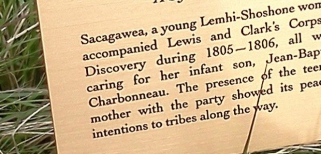 you died I am sorry.