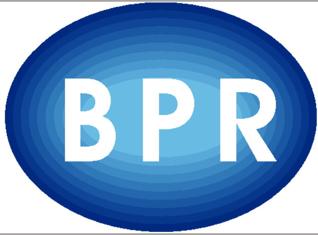 Business Process Reengineering (BPR)