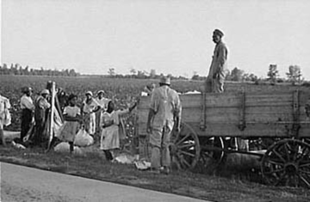 Sharecropping