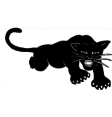 Black Panthers
