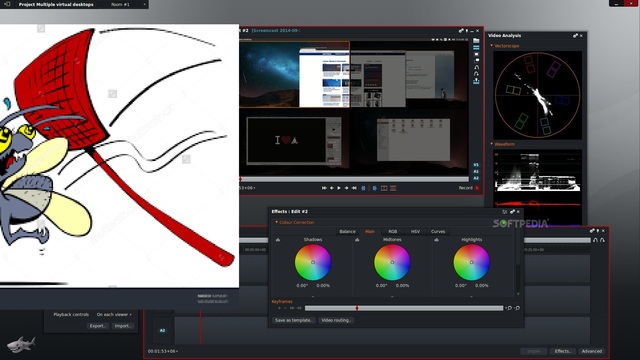 DIgital Editing Bugs and how they were fixed