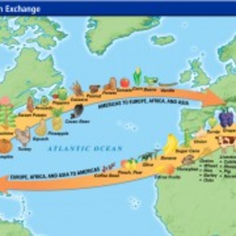 Columbian Exchange