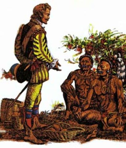 French  Society in the New World