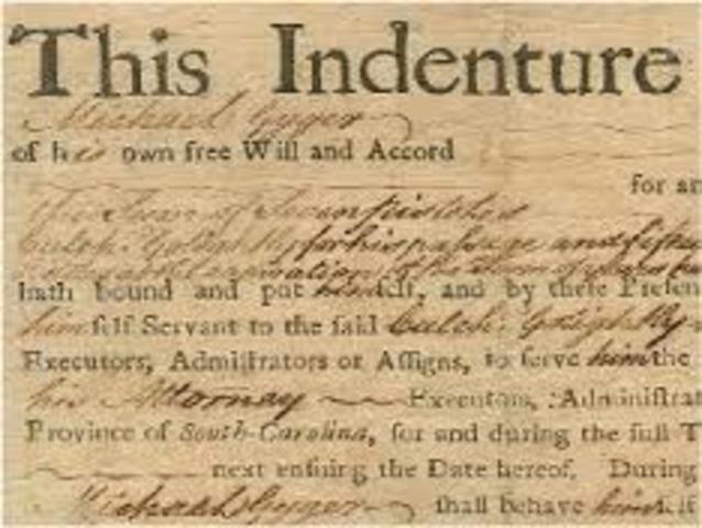 Indentured Servitude