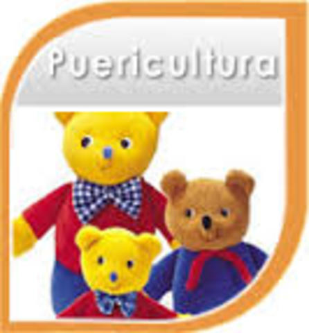 CONSOLIDAÇÃO DA PUERICULTURA