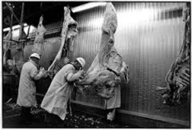 upton sinclair "the jungle"