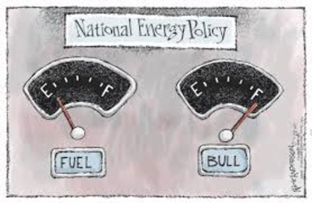 National Energy Policy