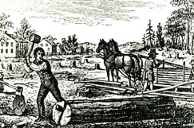 Indentured Servants (Period 2)