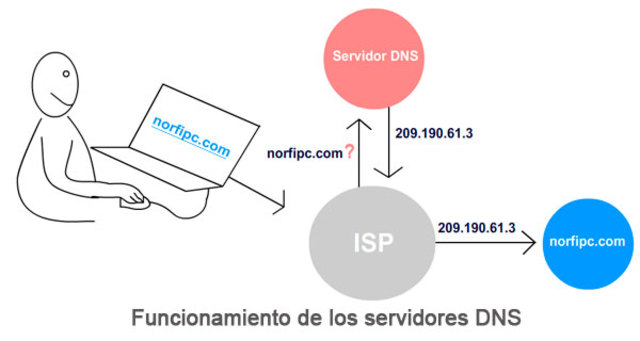 DNS