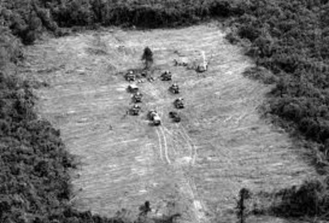 Operation Cedar Falls