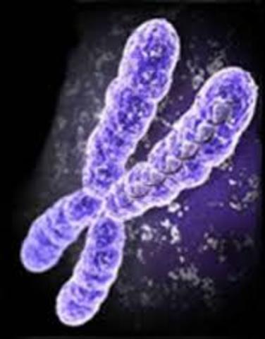 PROYECTO GENOMA HUMANO Y CELERA GENOMICS