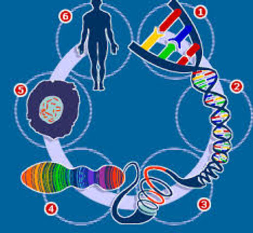 PROYECTO GENOMA HUMANO
