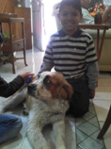 Conocí a Brownie, el San Bernardo de mi prima Mayte