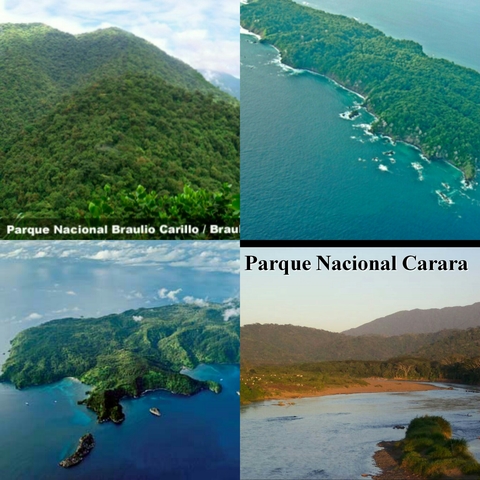 Isla del Coco, Isla del Caño, Braulio Carrillo, Carara.