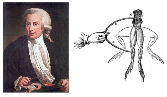 Luigi Galvani