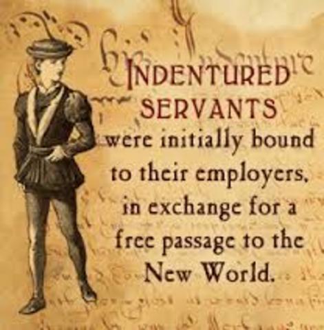 Indentured Servants