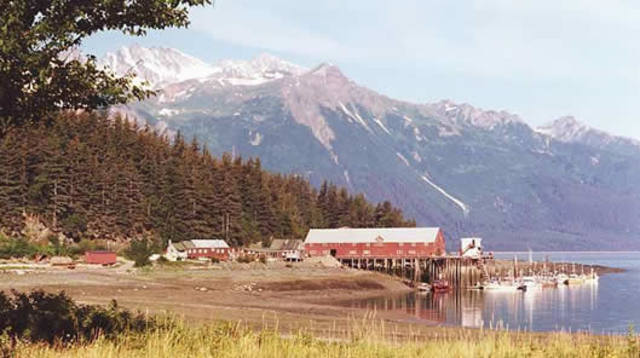 Haines Packing Company Cannery established