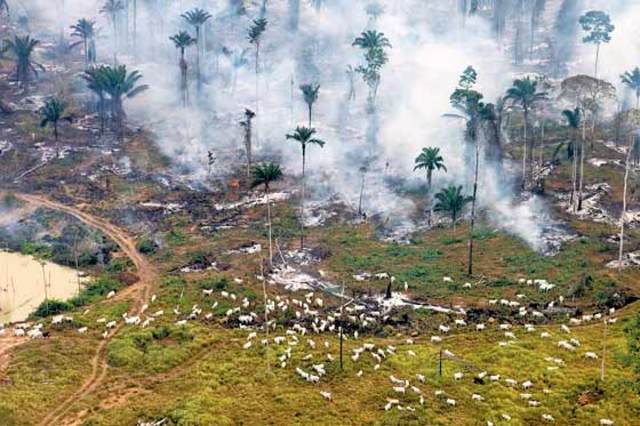 alteration of ecosystems