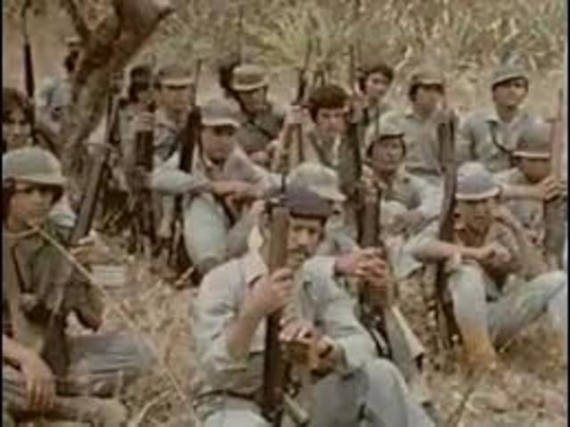 Vicepresidente de Estados Unidos