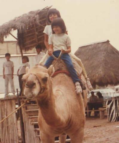 Mi aventura por Africam Safari