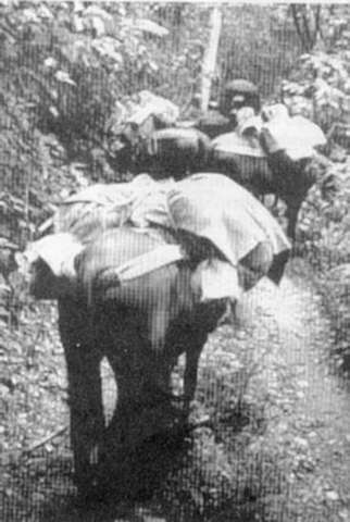 Principal Ruta de Comunicacion