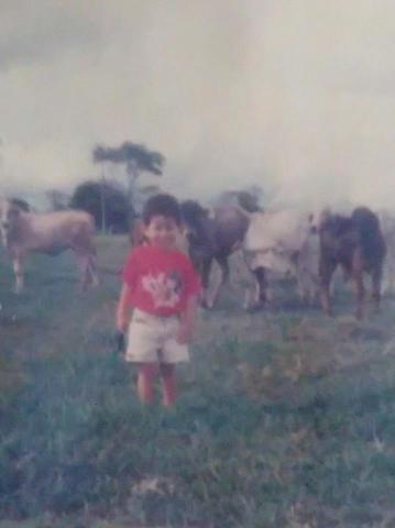 mi vida en el campo